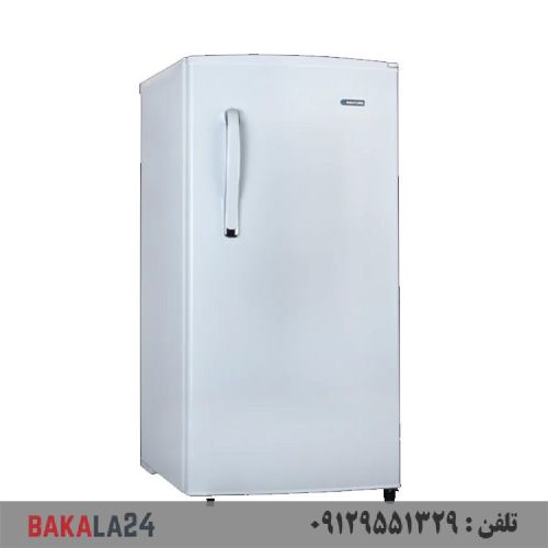 یخچال 9 فوت ایستکول مدل TM-919 سفید