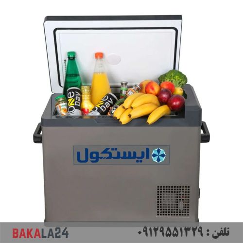 یخچال فریزر خودرو ایستکول مدل TM-4040-DC