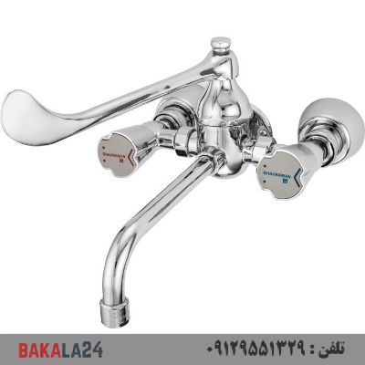 شیر آرنجی قهرمان